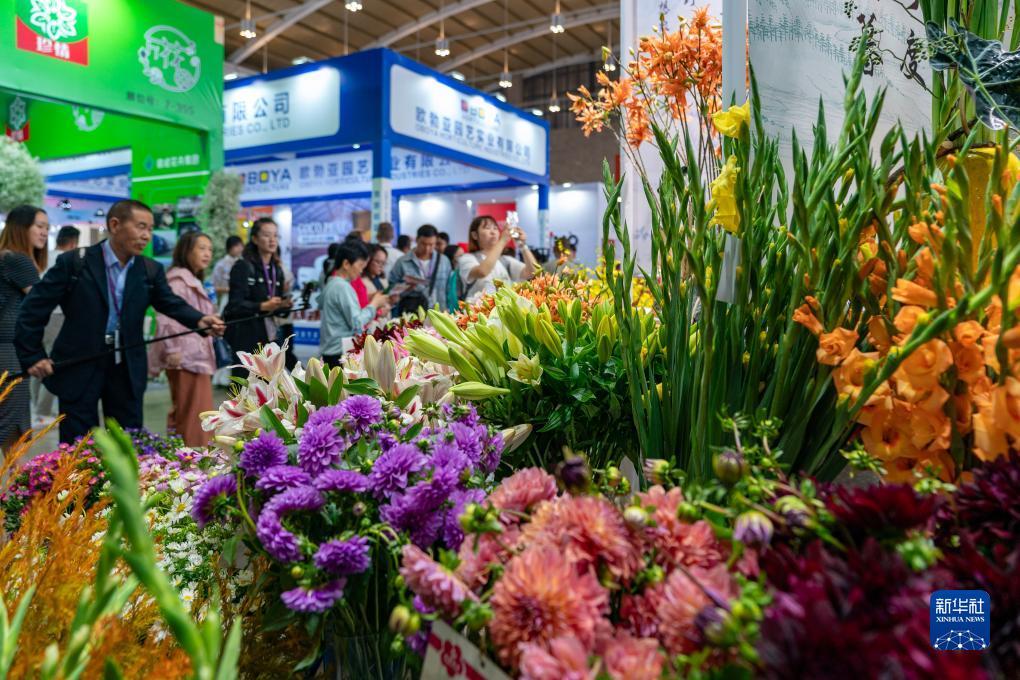 欢乐斗牛官网苹果